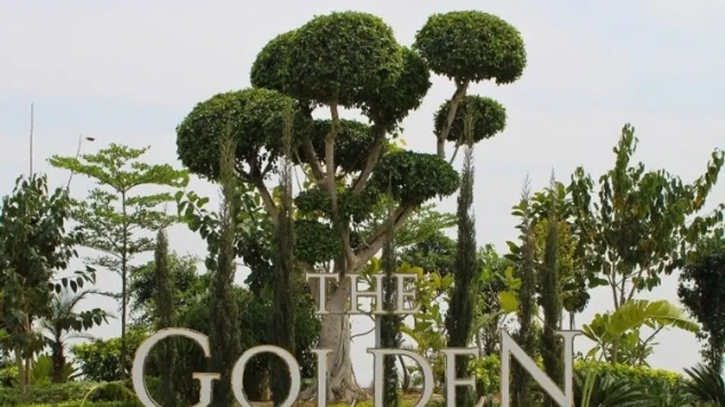 The Golden Estate, Aligarh