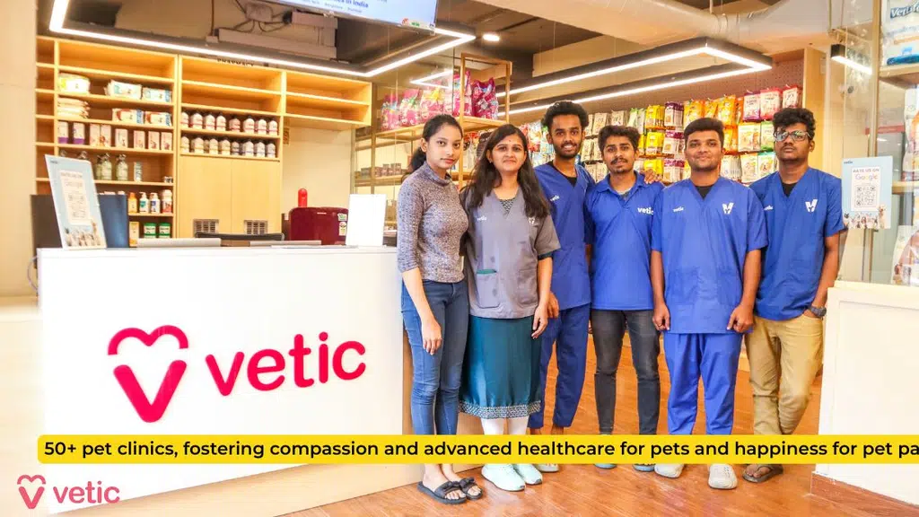 Vetic Pet Clinic Sadashiva Nagar