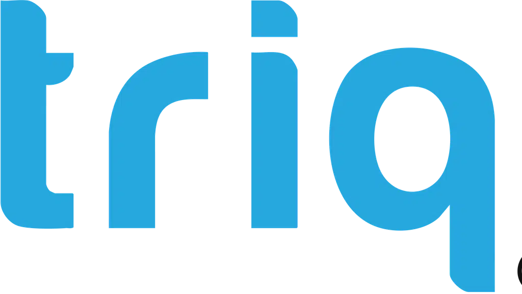 Testriq Software Testing and Quality Assurance Services Company