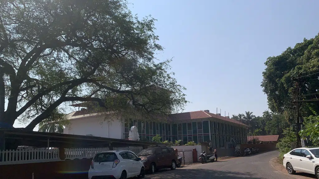 Deltin Palms
