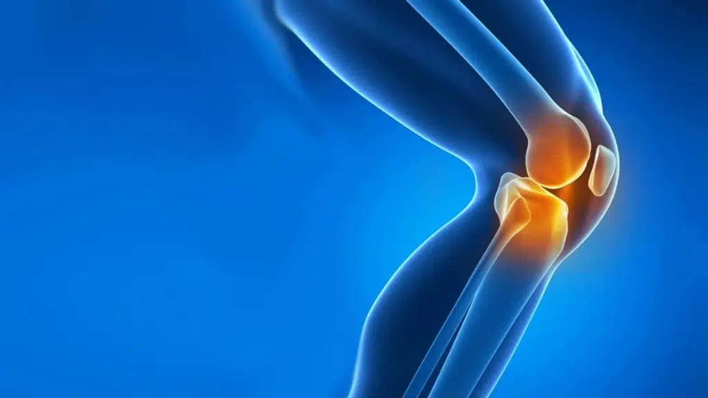 Global Orthopaedics and Sports Injury Centre