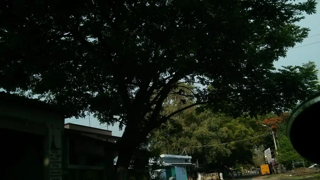 Mega Auto Consultant