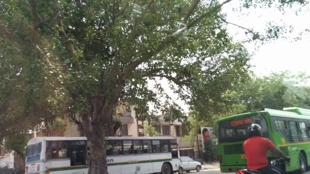 Kattar Market Parking