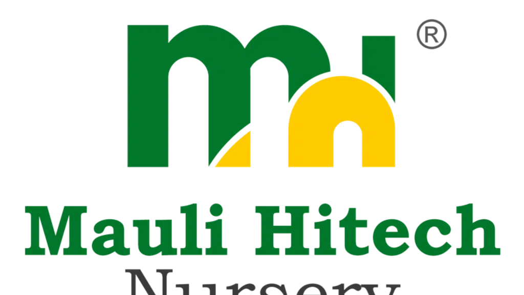 Mauli Hi-Tech Nursery