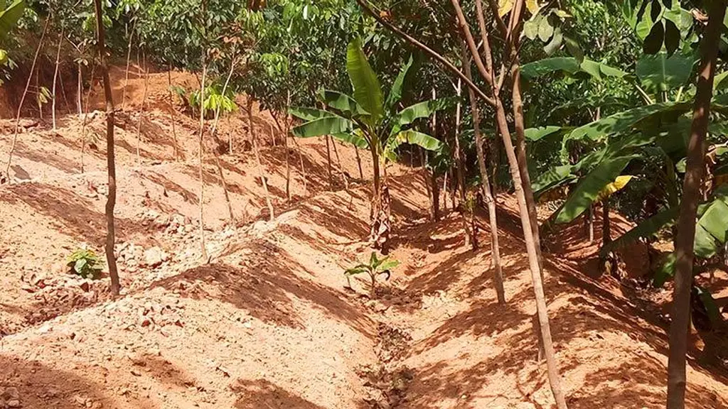Department of Soil Survey & Soil Conservation