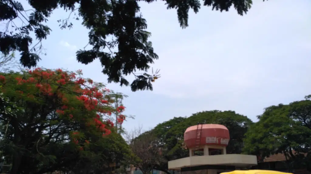 Karnatak Medical Stores