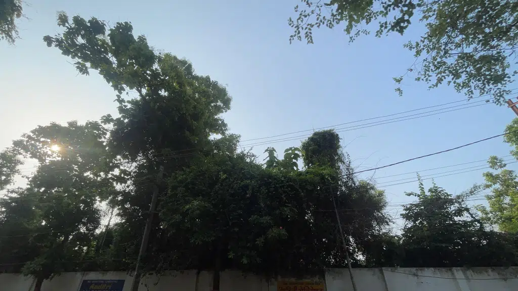 Pulse Hospital Bhagalpur