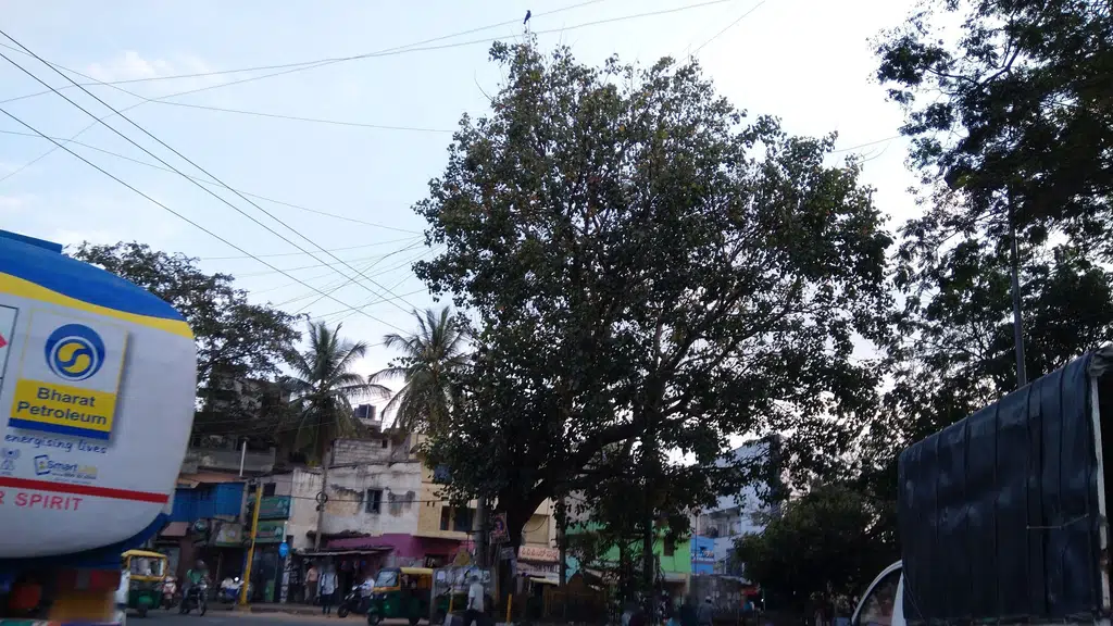 Akshaya Dental and Medical Centre