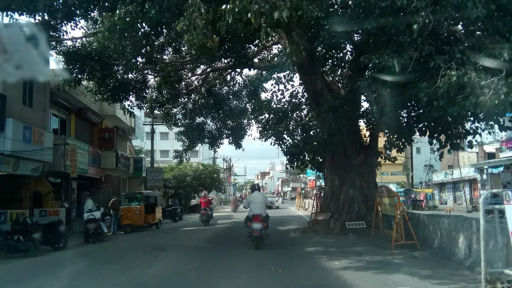 Chennai Finance and Cars
