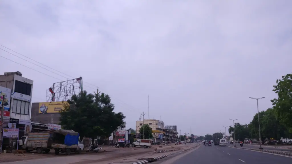 Avani Seeds Vidya Sankul