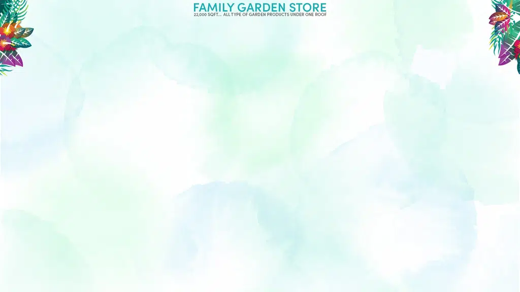 The Pot Shop