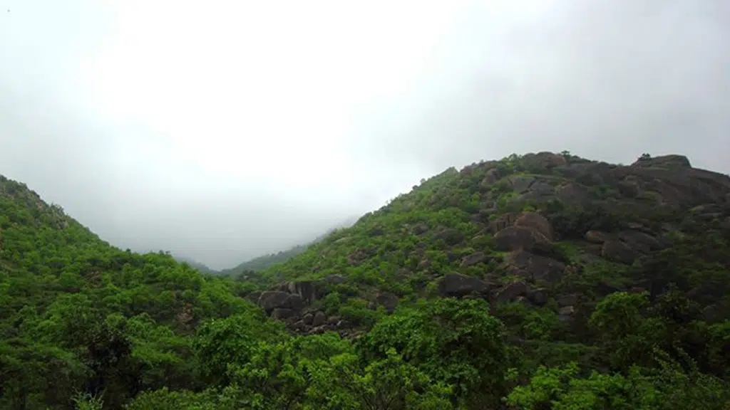 Araavali trails