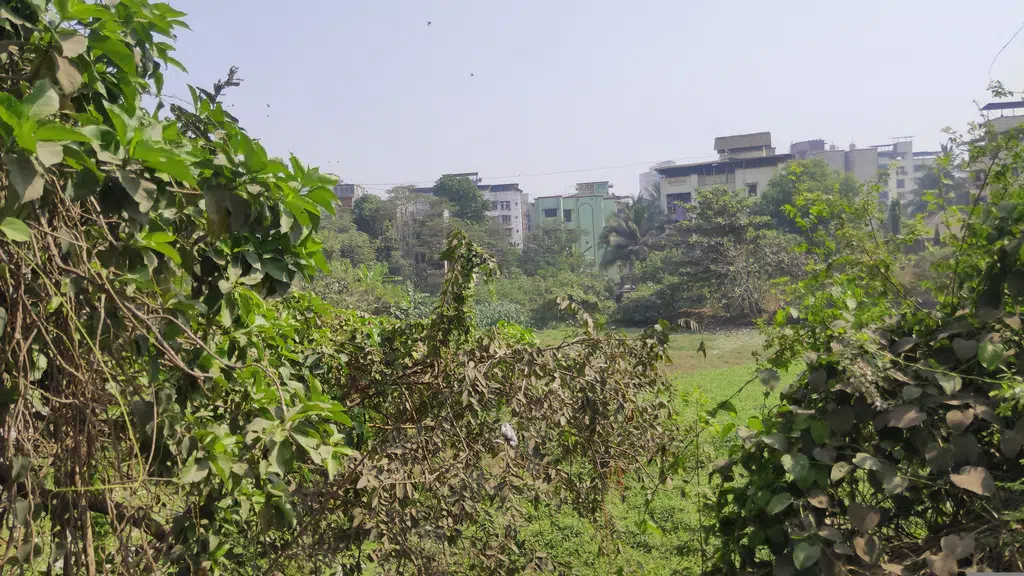 Shri Swami Samarth Medical and General Store
