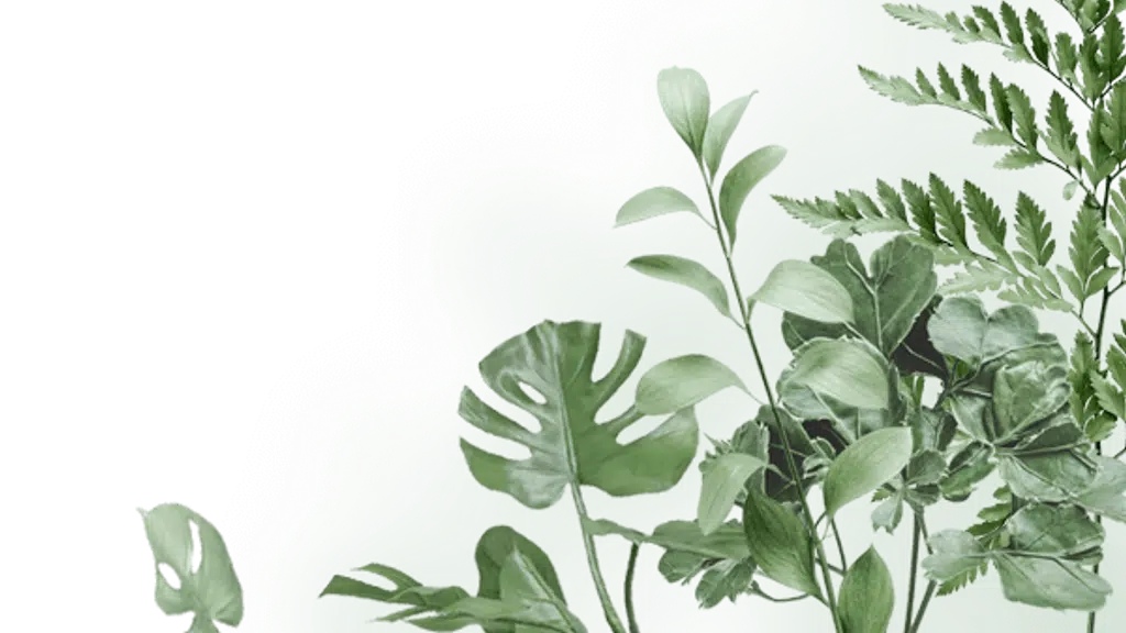 PCA Pest Control Assurance