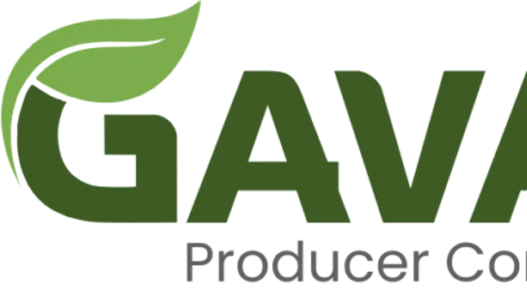 Gavathi Agro Producer Company Limited