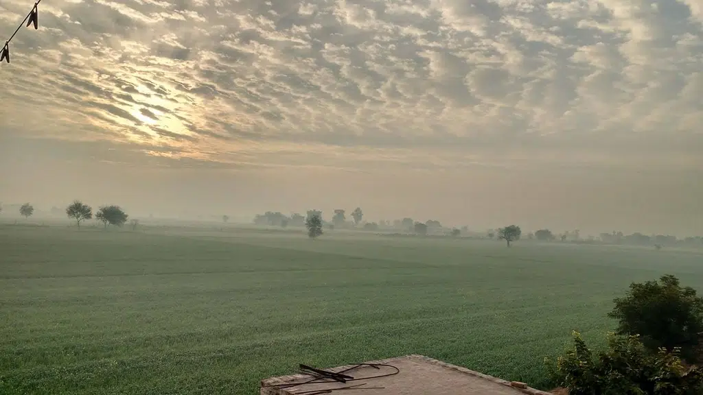 Sihag Farms