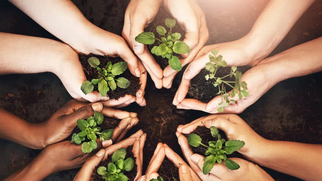 Parampara Foundation