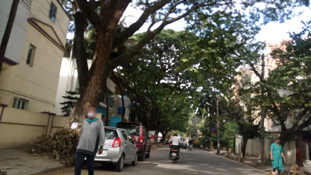 Margosa Court Malleswaram