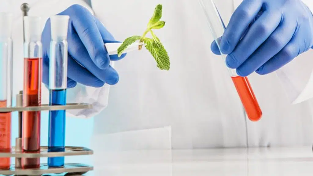 Vesta Pharmachem (P) Limited