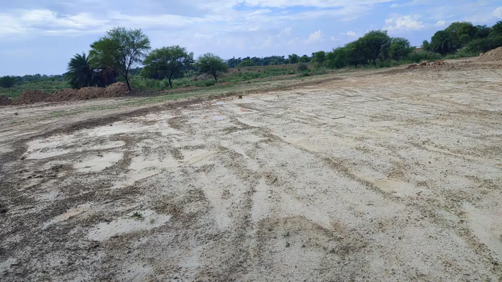 Singh Property
