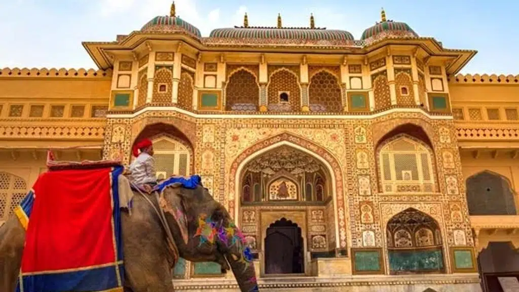 S.A.M India Tours