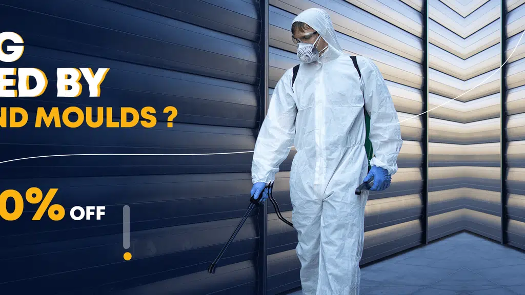 Capital Pest Control