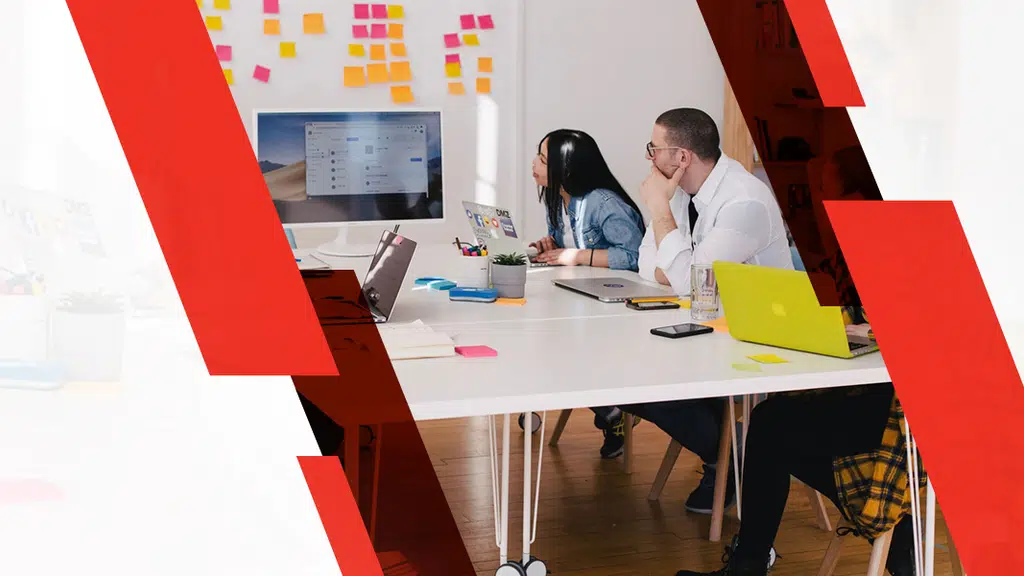 Spartan Web Technologies (Website Designer & Developer in Delhi, NCR region)