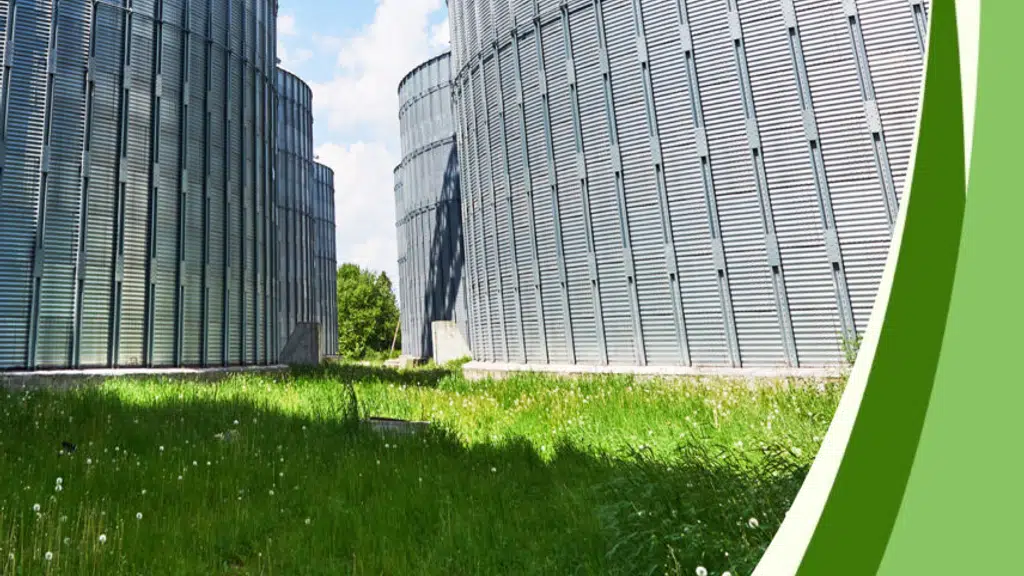 Grain care technologies