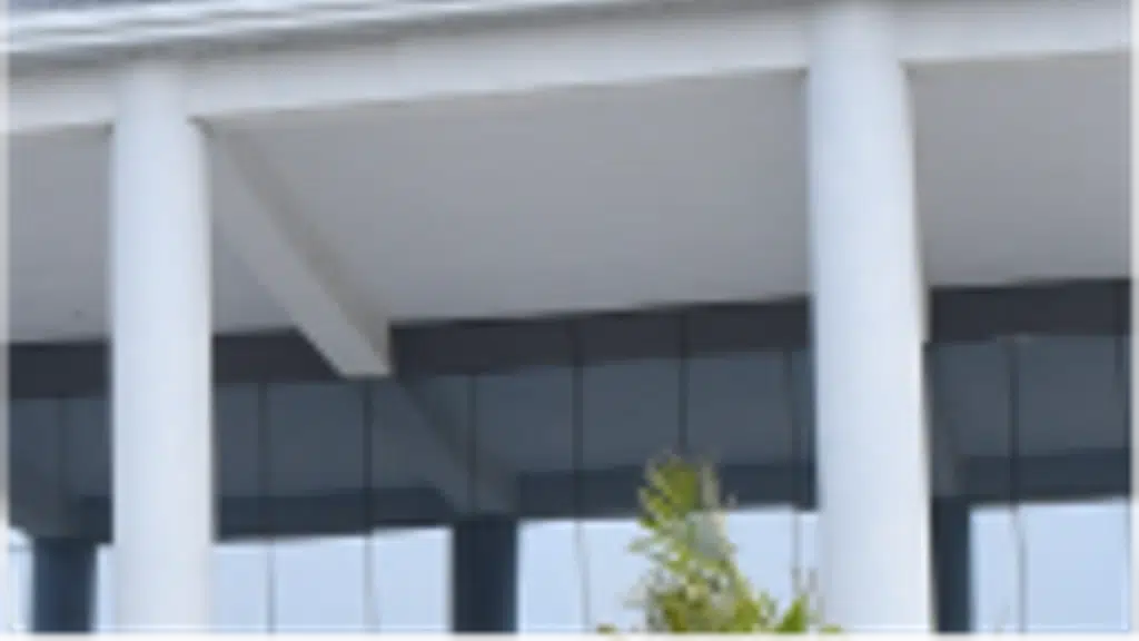 The Stemfields International School, Balbera