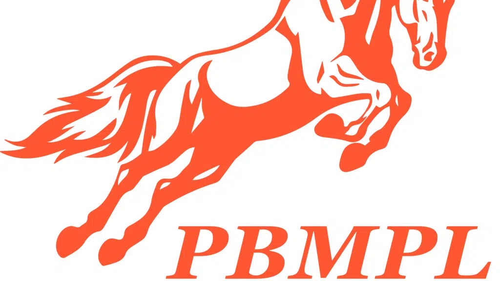 Pro B Machines Private Limited