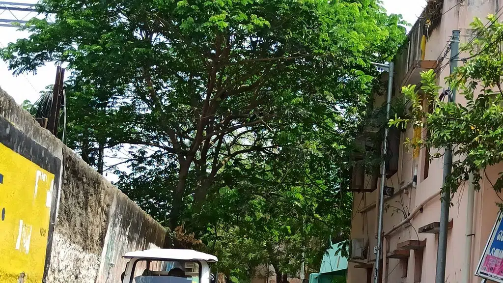 Sri Veera Anjaneyar Kovil
