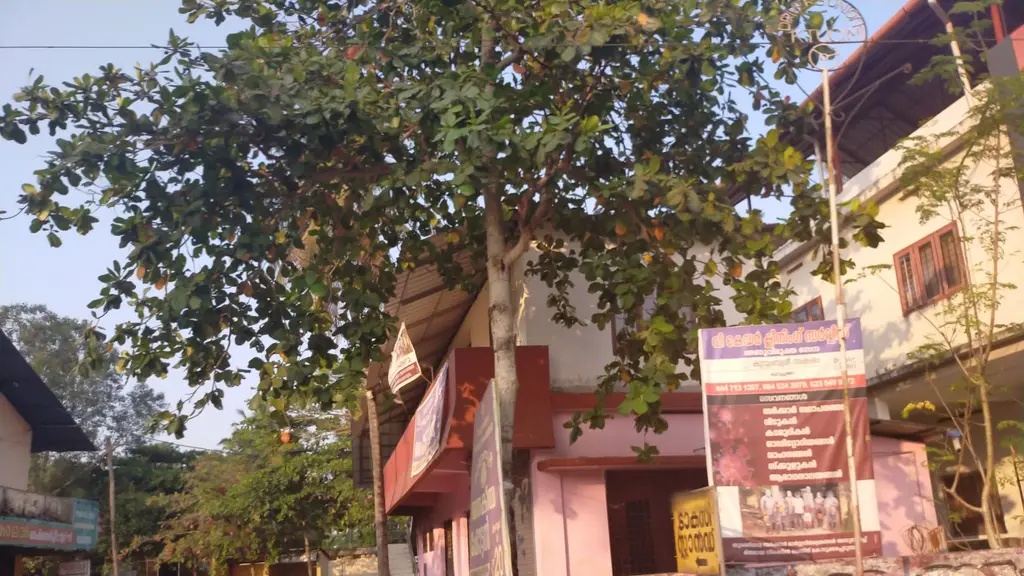 Kottayan Gramina Super Market Limited