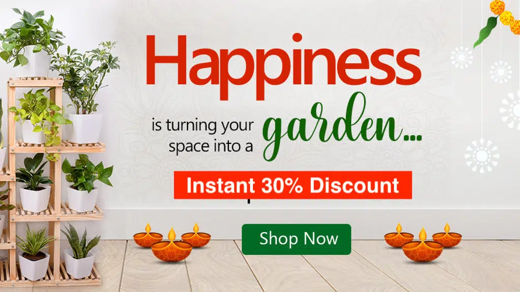 Nurserylive Store Hanamkonda, Warangal