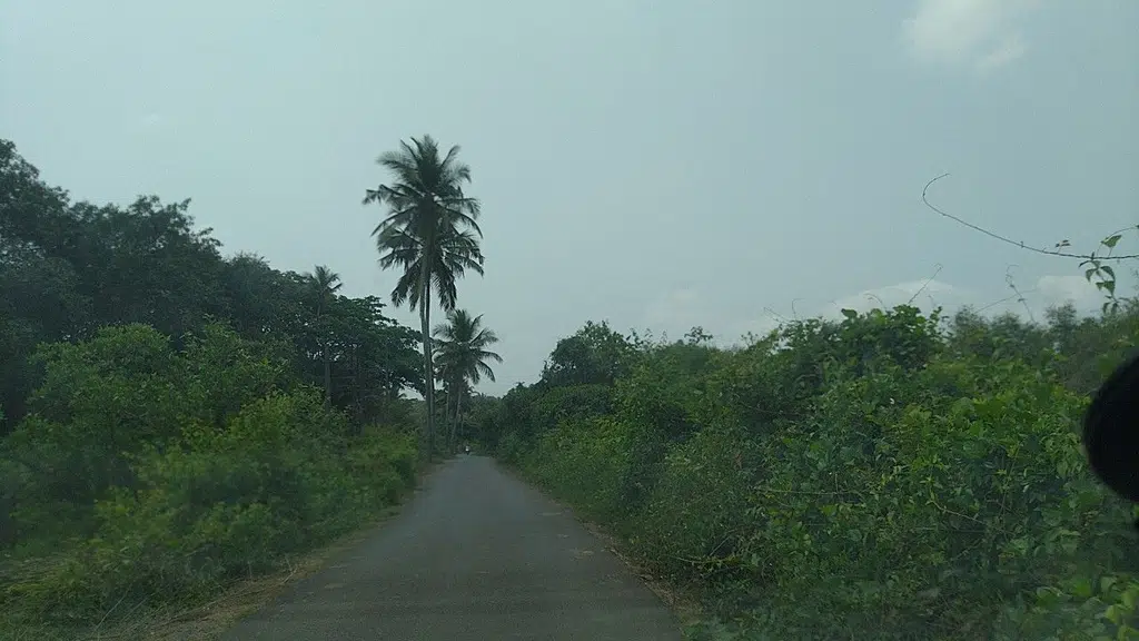 Karmali