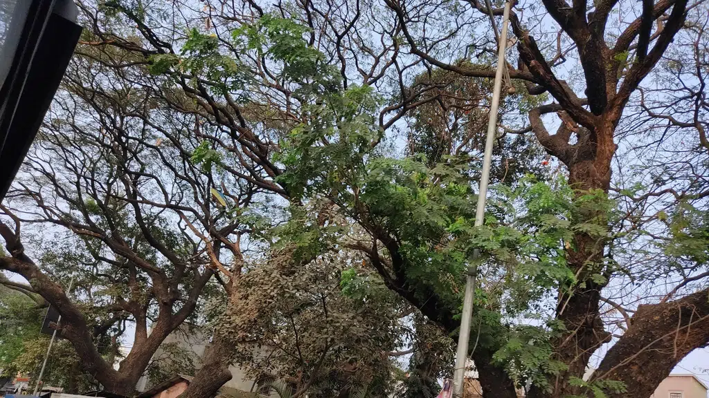 Vital Rukhamai Mandir