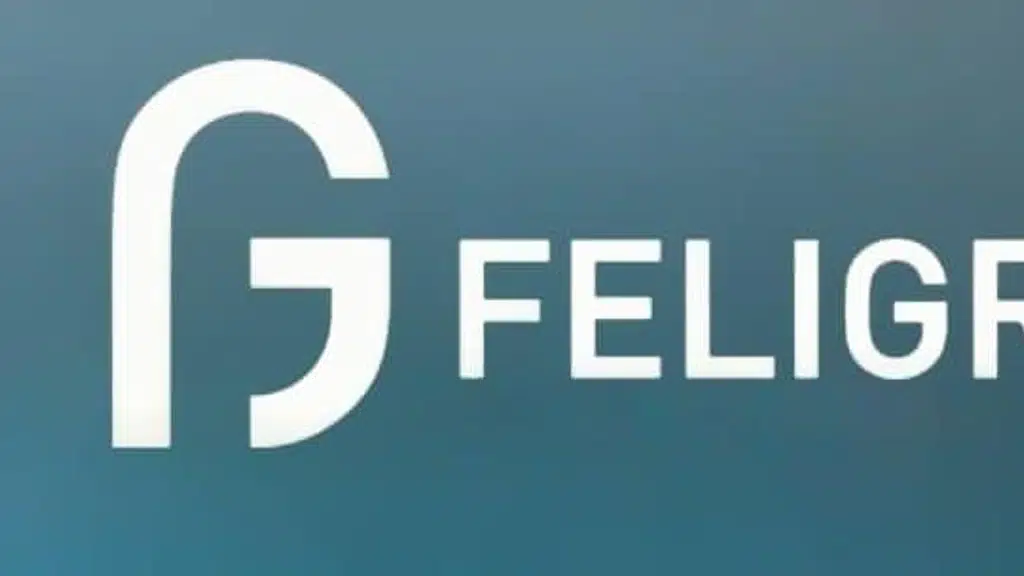 Feligrat Global Solutions Private Limited