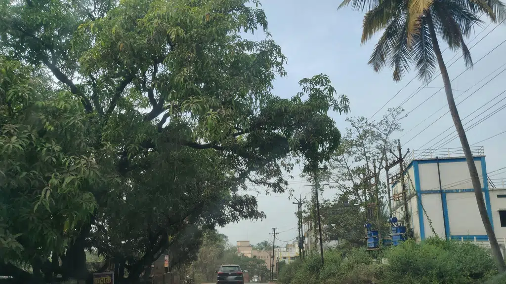 Laxmi Vishnu Clinic