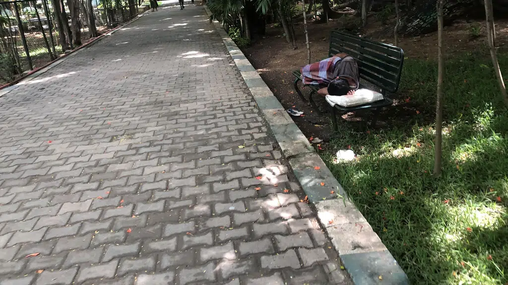 Nageshwara Rao Park
