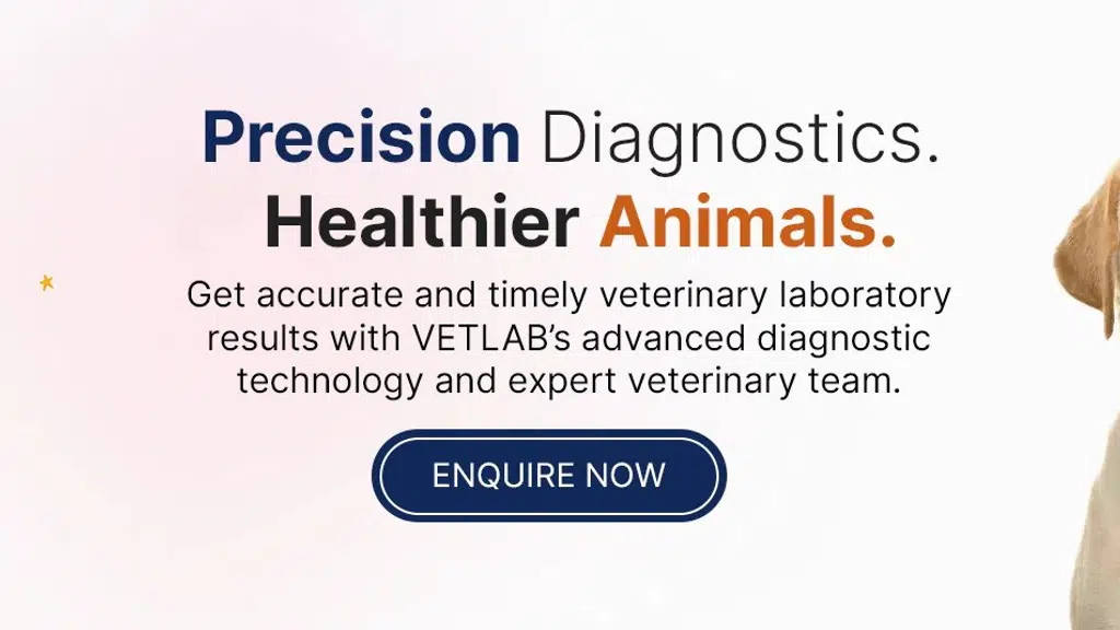 Vetlab Kolkata