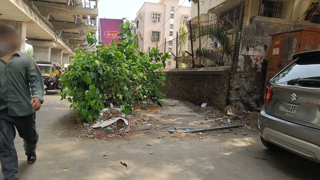 NEXA (My Car, S.V Road, Vile Parle West)