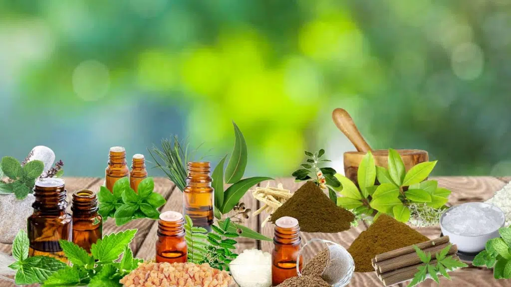 Hindustan Mint & Agro Products Pvt. Ltd.