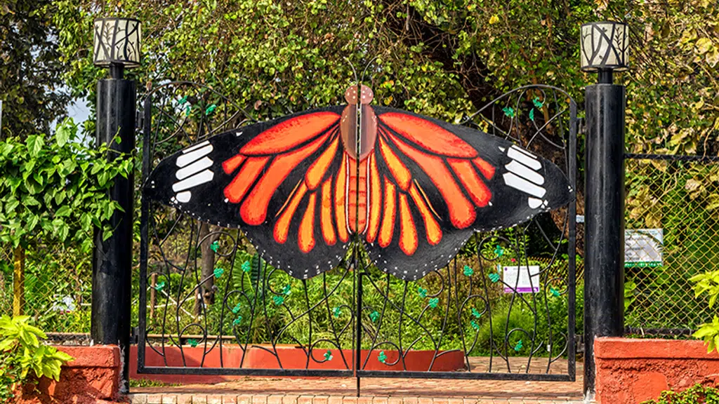 Native Biodiversity Garden