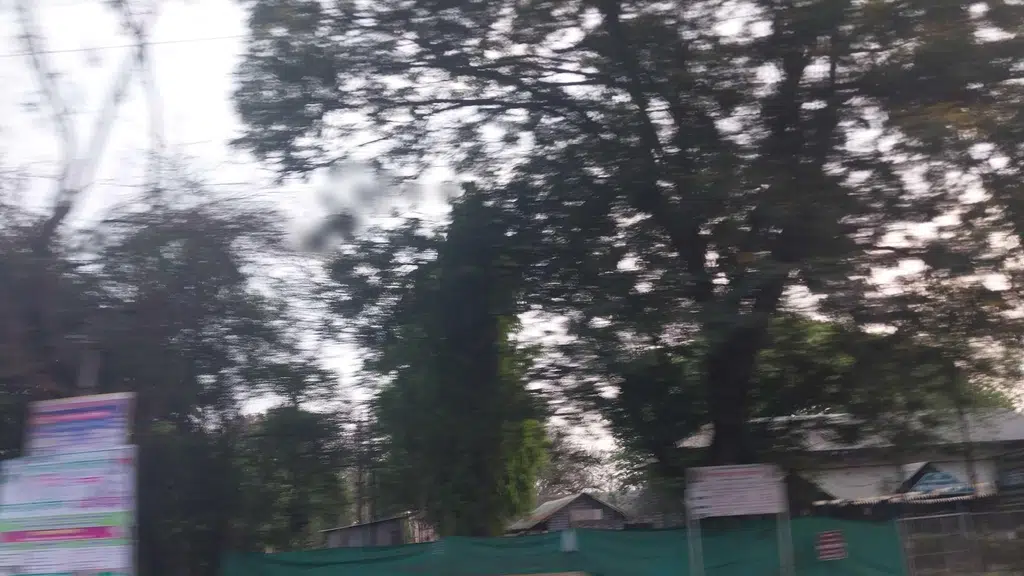 Tulip Bunglow Colony