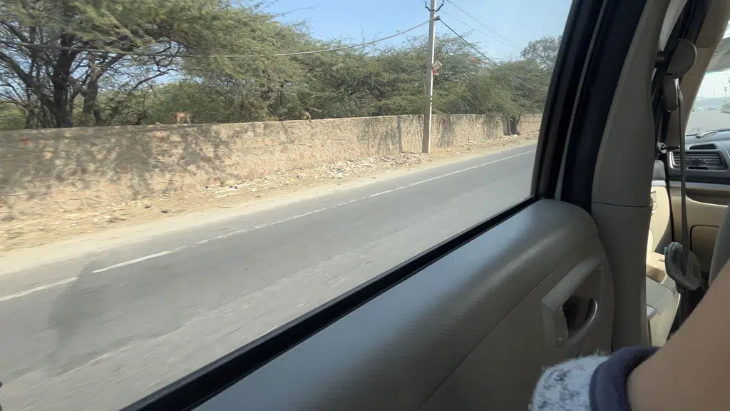 Guruji collections