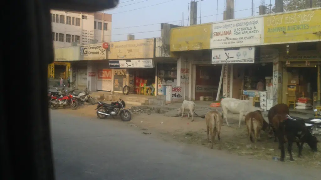 Ashoka Sanitary Syndicate