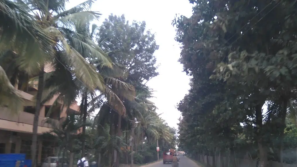 VIBGYOR Group of Schools