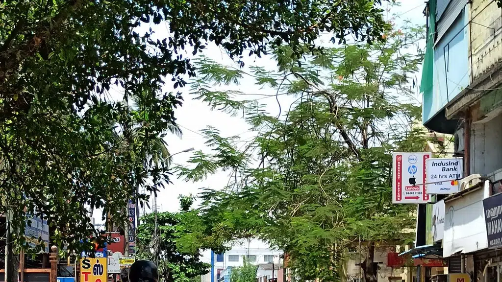 Vinayak Travels