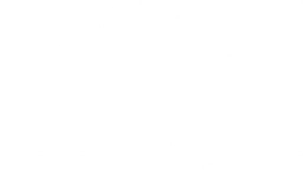Guru Softwares