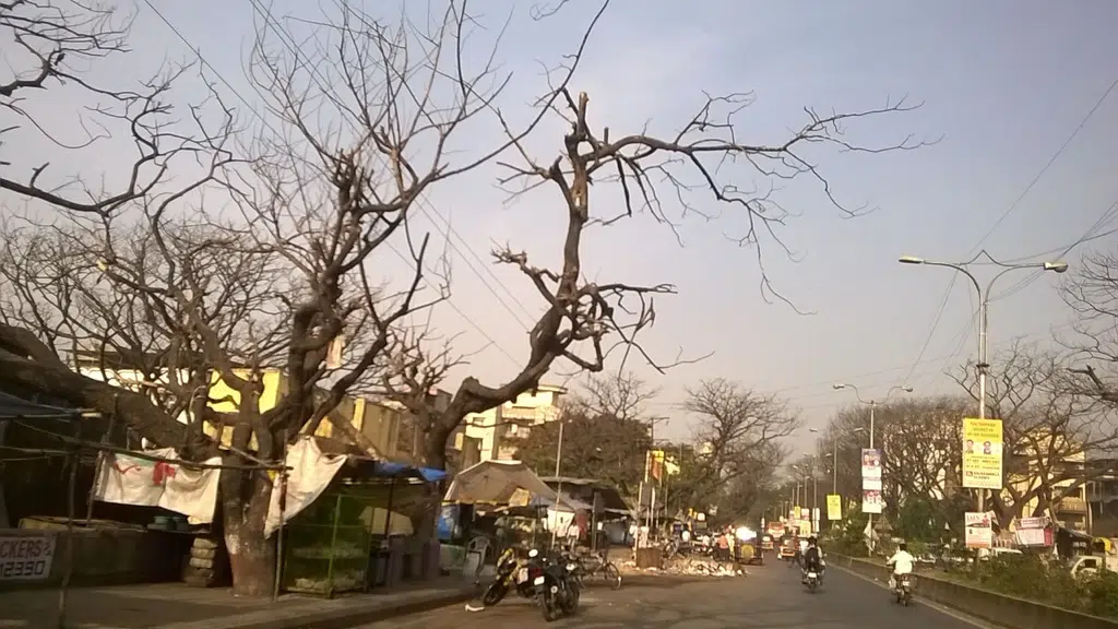 Hotel Veer Residency