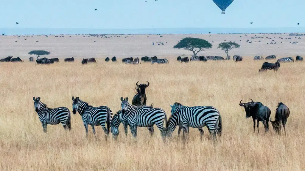 Unusual Escapes | Travel Community